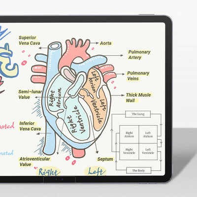 Apple iPad Pro 11 2024 Kağıt Hisli Benks Mat Paper-Like Ekran Koruyucu Şeffaf
