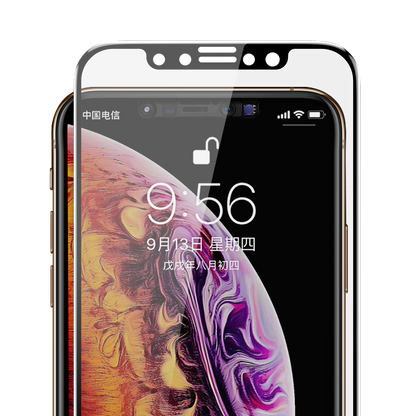 Apple iPhone 11 Pro Max Benks 0.3mm V Pro Privacy Ekran Koruyucu