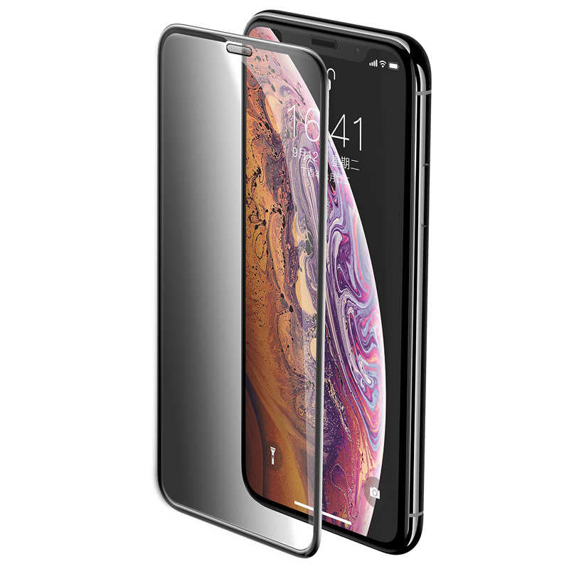 Apple iPhone 11 Pro Max Zore Anti-Dust Privacy Temperli Ekran Koruyucu