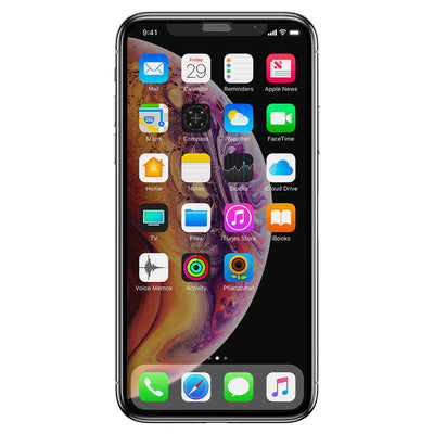 Apple iPhone 12 Benks 0.3mm V Pro Anti-Dust Privacy Ekran Koruyucu Siyah