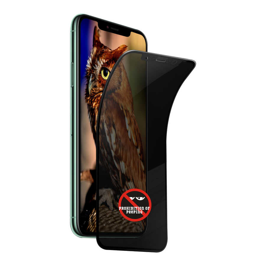 iPhone 12 Pro Max Go Des Privacy Ekran Koruyucu