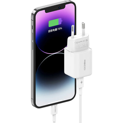 Recci RC65E Hızlı Şarj Başlığı Type-C to Lightning PD 20W Kablolu Şarj Seti