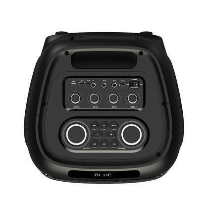 Zore LT-2131 Dijital LED Göstergeli Mikrofonlu RGB TWS Çift 8 inç Stereo Bass Kablosuz Karaoke Hoparlör