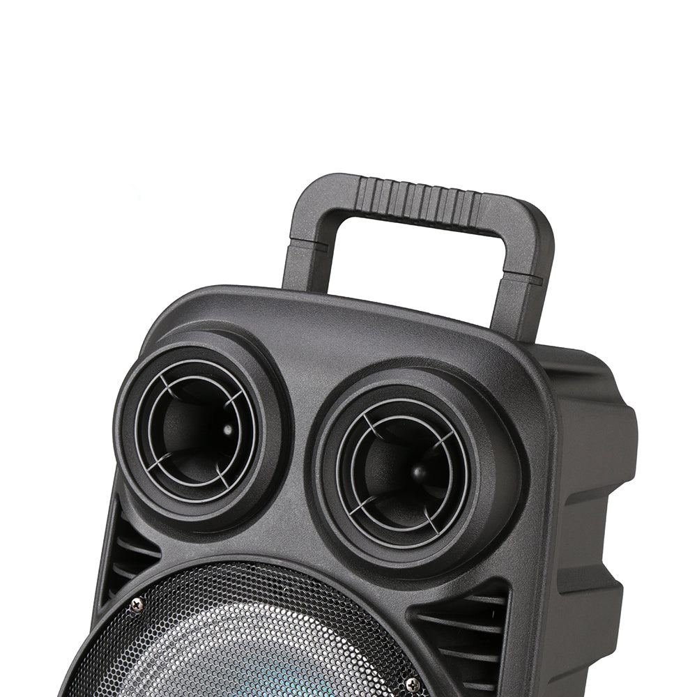Zore PK-15 FM Radyolu Mikrofonlu RGB TWS 8 inç Stereo Bass Kablosuz Karaoke Hoparlör